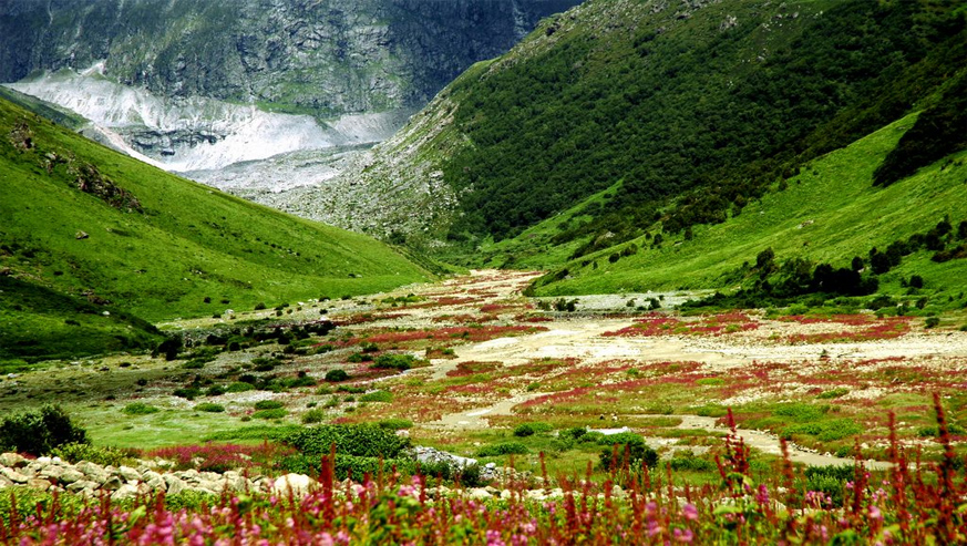 chardham yatra with valley-of-flowers