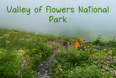 Chardham with Valley of Flowers Tour