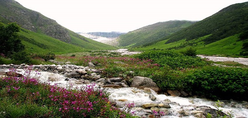 Valley of flower tourism